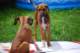 dsc_7558_small.jpg