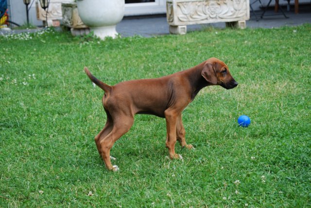 dsc_7577.jpg