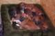 dsc_6778_small.jpg