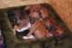 dsc_6779_small.jpg