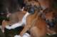 dsc_6780_small.jpg