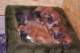 dsc_6781_small.jpg