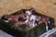 dsc_6784_small.jpg