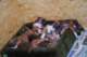 dsc_6786_small.jpg