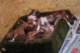 dsc_6788_small.jpg