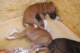 dsc_6800_small.jpg