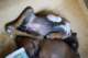 dsc_6801_small.jpg