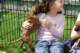 dsc_6804_small.jpg