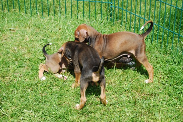 dsc_6805.jpg