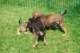 dsc_6805_small.jpg