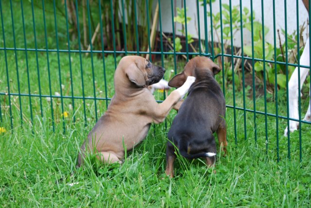 dsc_6810.jpg