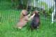 dsc_6810_small.jpg