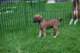 dsc_6811_small.jpg