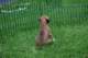 dsc_6812_small.jpg