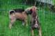dsc_6814_small.jpg