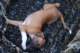 dsc_6815_small.jpg