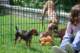 dsc_6821_small.jpg