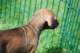 dsc_6822_small.jpg