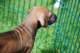 dsc_6823_small.jpg