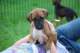 dsc_6824_small.jpg