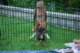 dsc_6826_small.jpg