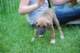 dsc_6827_small.jpg