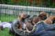 dsc_6831_small.jpg
