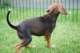 dsc_6837_small.jpg