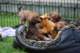 dsc_6839_small.jpg