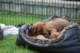 dsc_6840_small.jpg