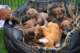 dsc_6841_small.jpg