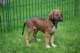 dsc_6843_small.jpg