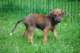 dsc_6844_small.jpg