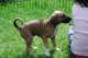 dsc_6846_small.jpg