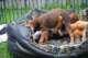 dsc_6848_small.jpg