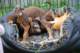 dsc_6849_small.jpg