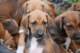 dsc_6855_small.jpg