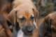 dsc_6856_small.jpg