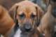 dsc_6857_small.jpg