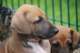 dsc_6859_small.jpg
