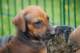 dsc_6860_small.jpg