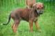 dsc_6861_small.jpg
