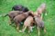 dsc_6865_small.jpg