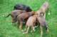 dsc_6866_small.jpg