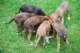 dsc_6867_small.jpg
