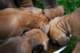 dsc_6868_small.jpg
