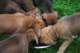 dsc_6869_small.jpg
