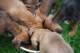 dsc_6870_small.jpg