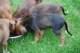 dsc_6871_small.jpg
