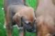 dsc_6873_small.jpg